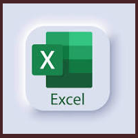 Excel©